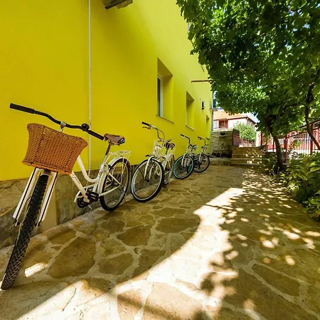 With 3 In Zadar, With Enclosed Garden And Wifi Apartman *
